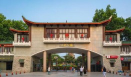 郑州人民公园爆料视频,网友爆料视频引热议